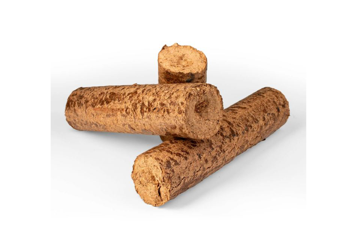 Paquet de 3 bûches compressées de 31 cm