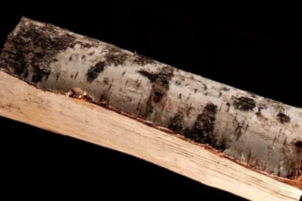 Quinze sacs de bois de bouleau 100% sec de 8kg – Image 3